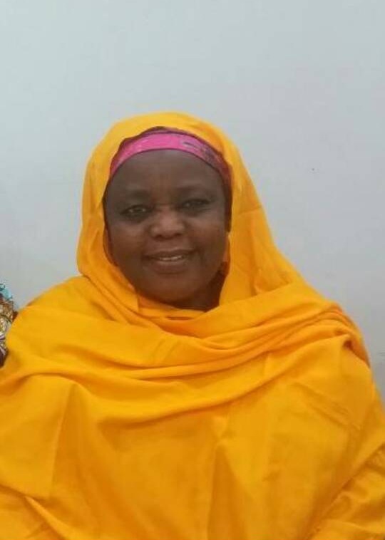 Professor Hauwa Abdu Biu